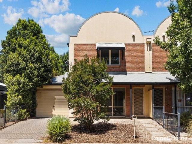 14 Frederick Street, SA 5033