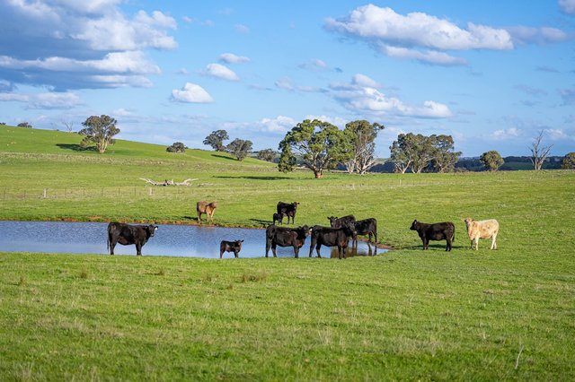 680 Fish River Road Narrawa Via, NSW 2583