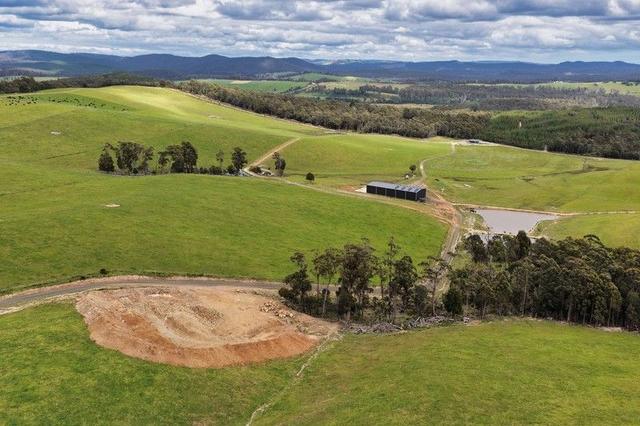 62 Bridport Back Road, TAS 7260