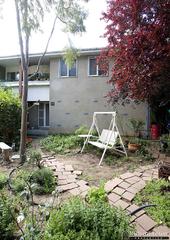 Frontyard (2007-11-08)