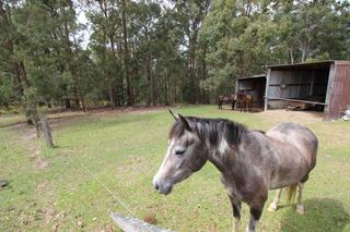 Lifestyle Acres near Kempsey