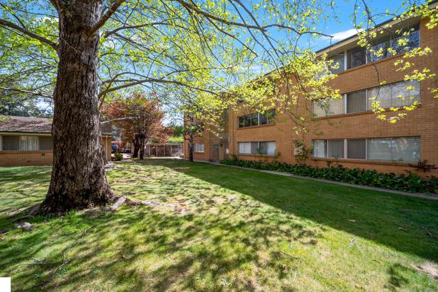 29/41 David Street, ACT 2602