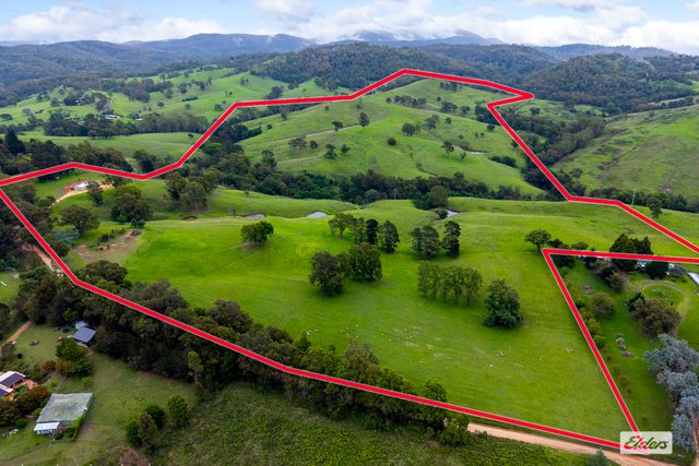 50 House Creek Road, NSW 2550