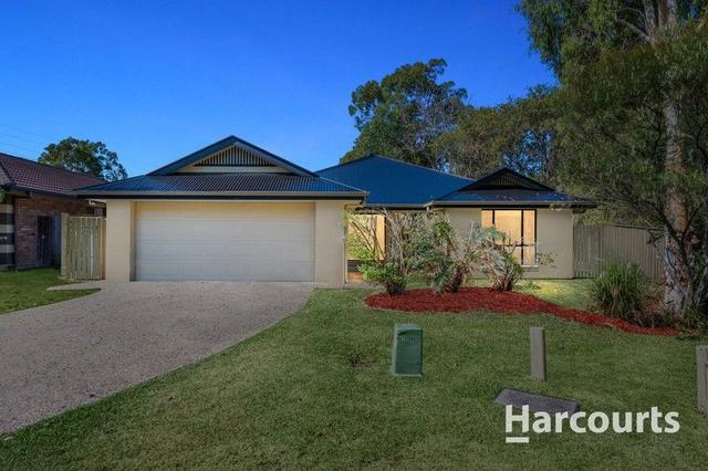 21 Brushbox Crescent, QLD 4109