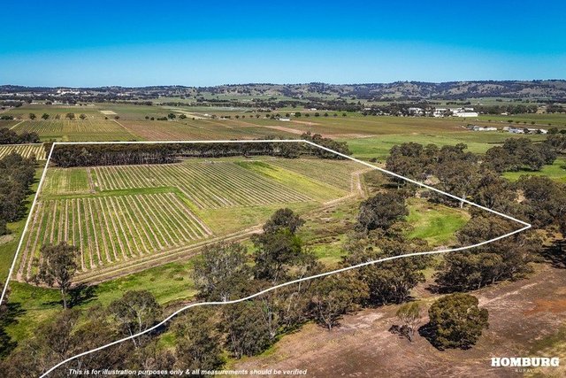 Lot 91 Nuraip Road, SA 5355