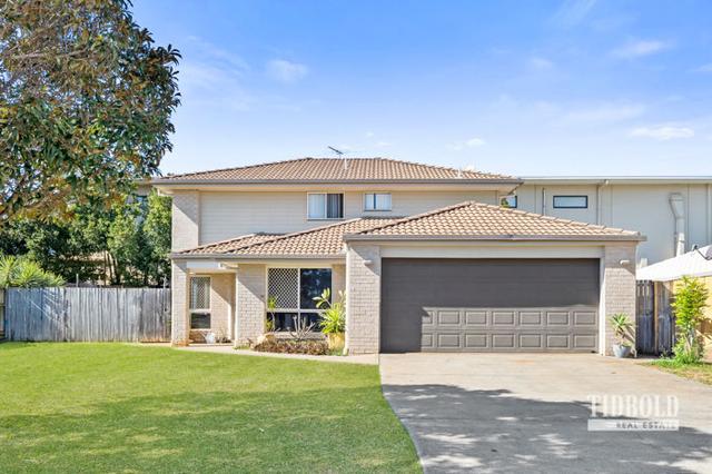 6 Lizard Place, QLD 4165