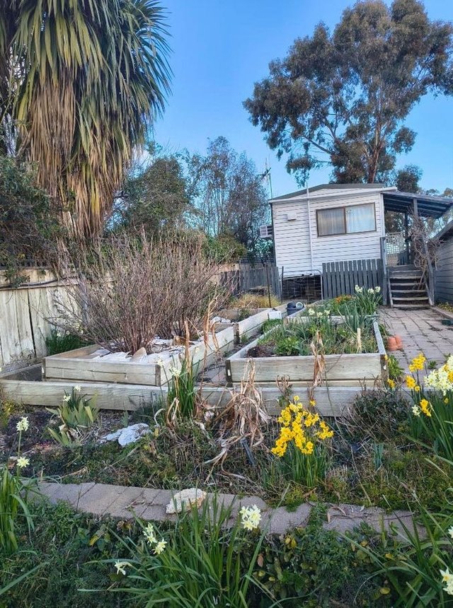 11a Bywong Street, NSW 2620