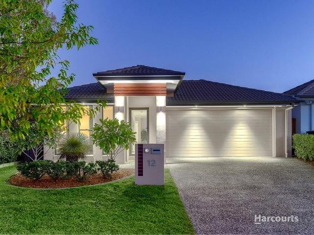 12 Kondalilla Place, QLD 4018