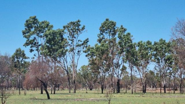 202-410 Wallal Street, QLD 4470