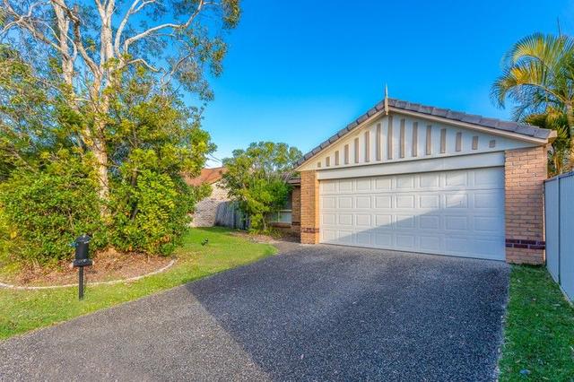 12 Bowerbird Place, QLD 4220