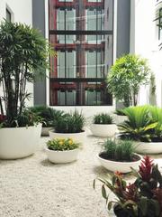 Courtyard (2017-02-28)