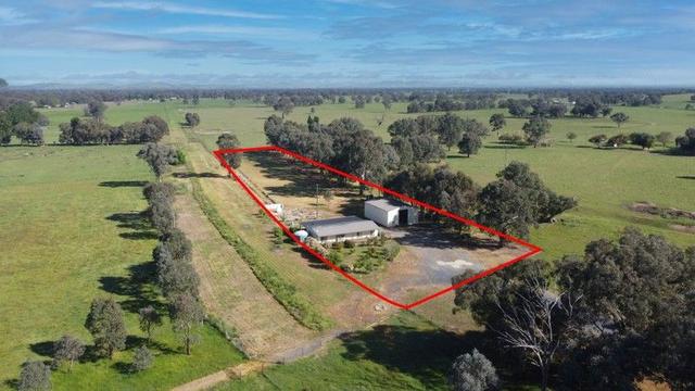 77 Tip Road, NSW 2644