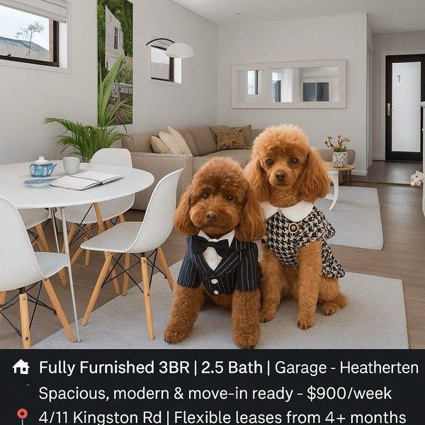 4/11 Kingston Road, VIC 3202