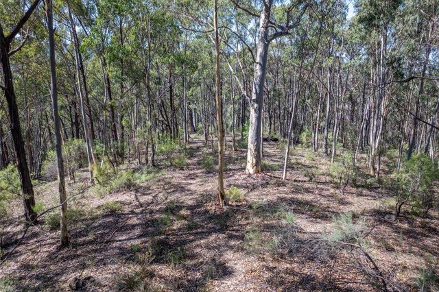 Lot 3422 Blackheath Creek Road, NSW 2790