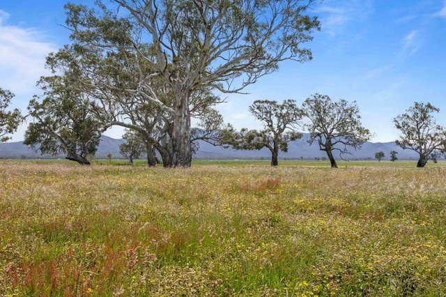 46A & 46B Andrews Lane, VIC 3379