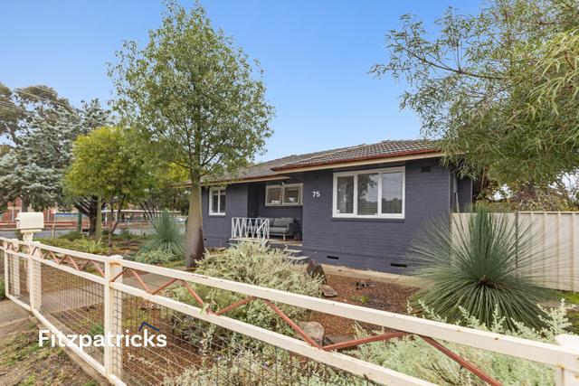 75 Ziegler Avenue, NSW 2650