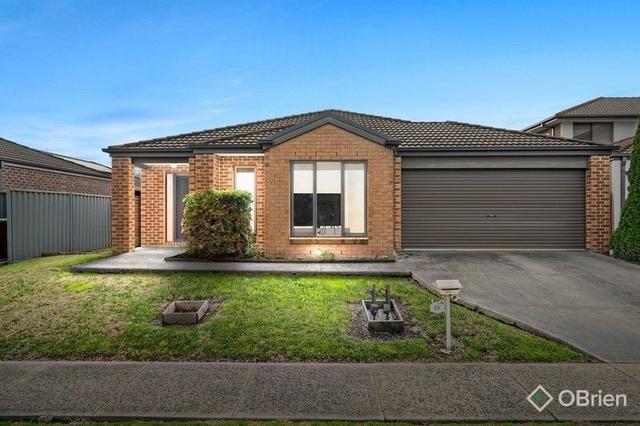 20 Ardent Crescent, VIC 3977