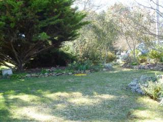 Front Garden (2012-09-07)