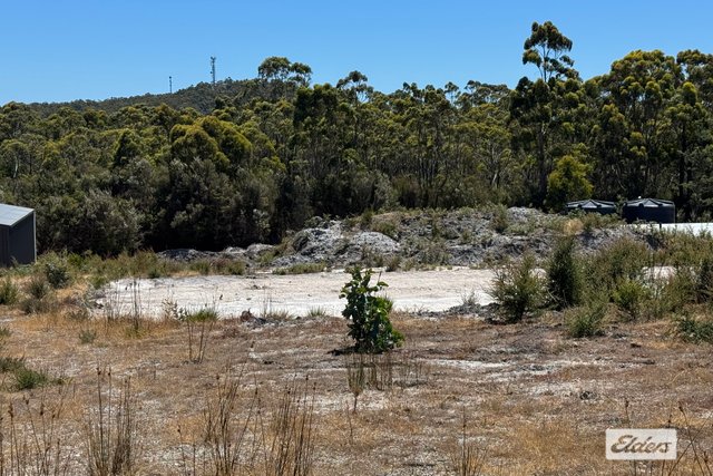 11 Bissett Place, TAS 7316