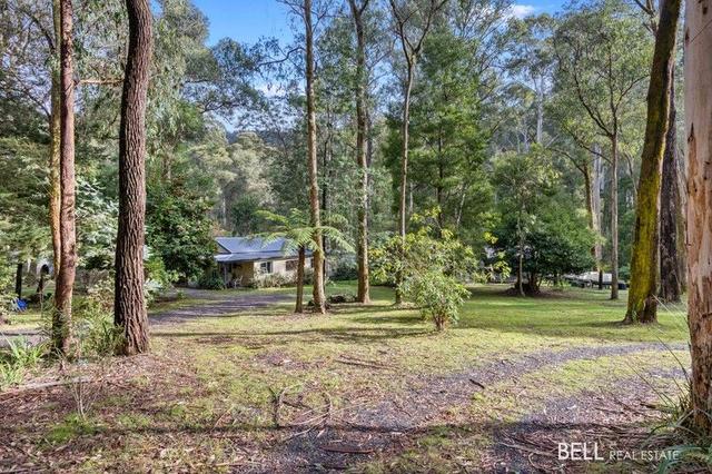 31 Fisherman Drive, VIC 3799