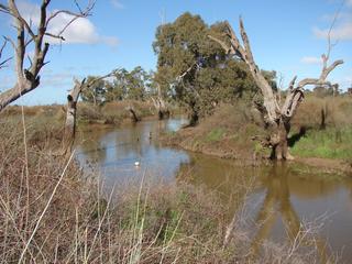 LODDON RIVER