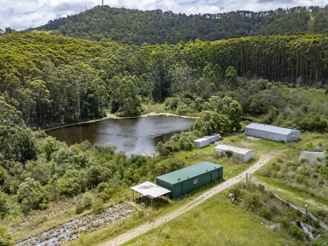 212 Range Road, NSW 2460