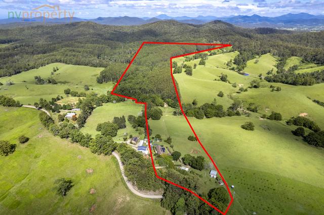 638 Congarinni Road South, NSW 2447
