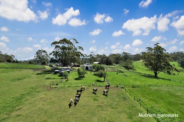 482 Old Whitelaws Track, VIC 3971