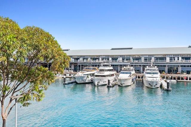 222/3 Darling Island Road, NSW 2009