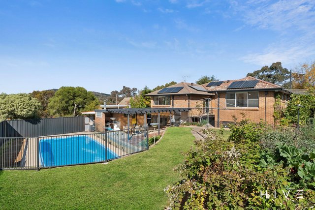 97 Fitchett Street, ACT 2605