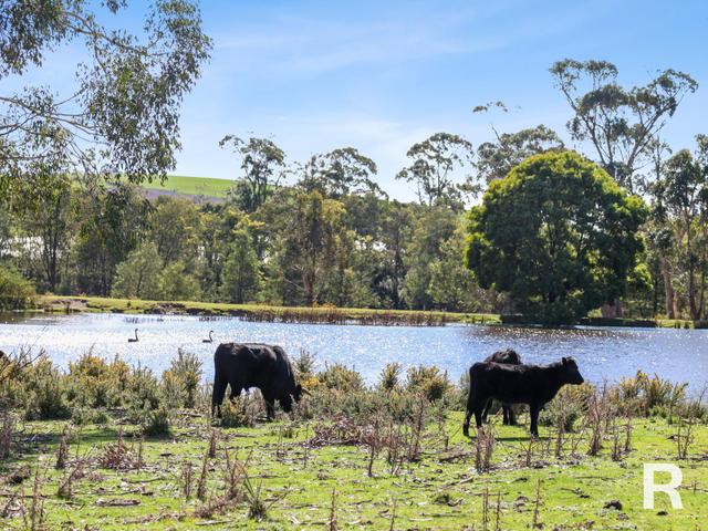 46 Bogan Road, TAS 7303