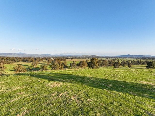 255 Blue Range Road, VIC 3723