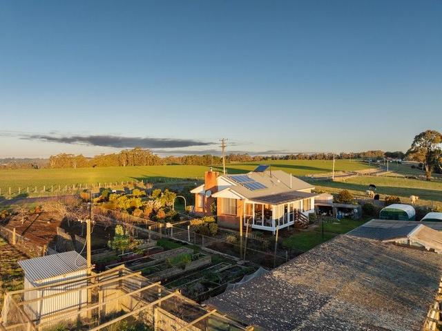 822 Mount Hicks Road, TAS 7325