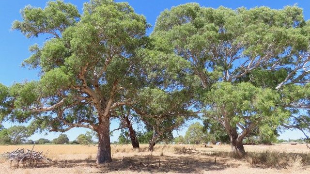 8283 Clay Wells Rd, SA 5277