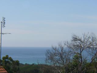 Main (2010-08-03)