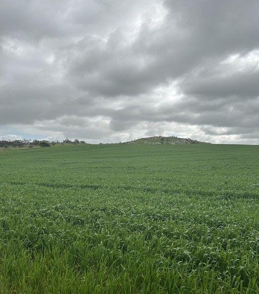 Lot 65 Forrester  Road, WA 6532