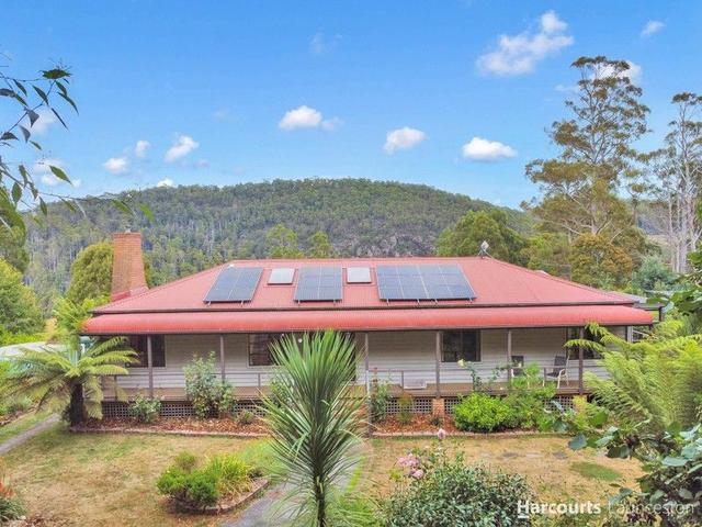 620-628 Brown Mountain Road, TAS 7268