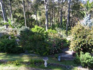 Backyard from deck (2010-10-18)