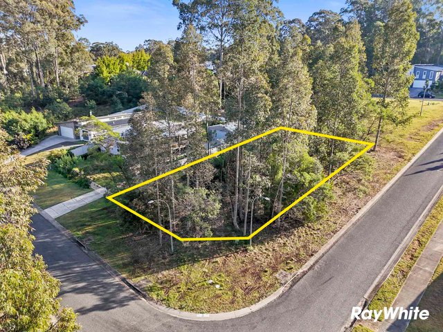 3 Rodgers Street, NSW 2536