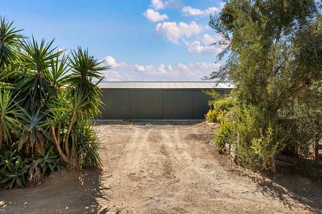 Lot 254 Oloughlin Road, SA 5120