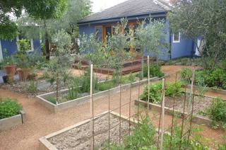 Vegetable Garden