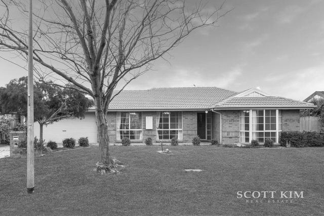 12 Shaw Close, VIC 3175