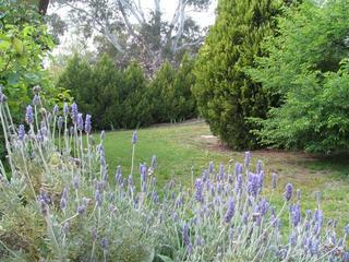 Prop. 1-Front Garden