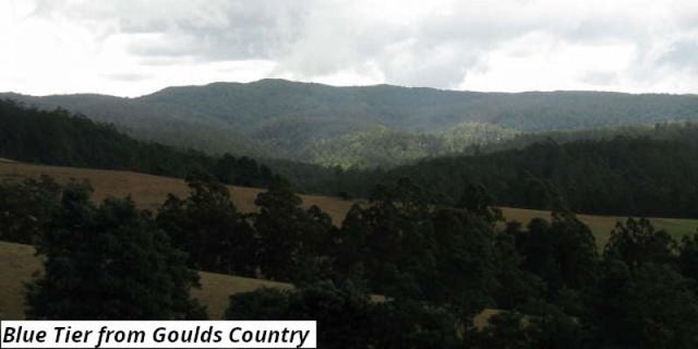 755 Lottah Road, TAS 7216