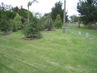 Garden (2007-03-30)