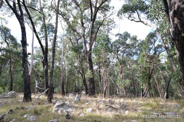 . Youngs Road, VIC 3444