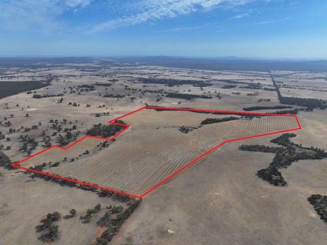 Lot 8 Dunolly-Orville Road, VIC 3551