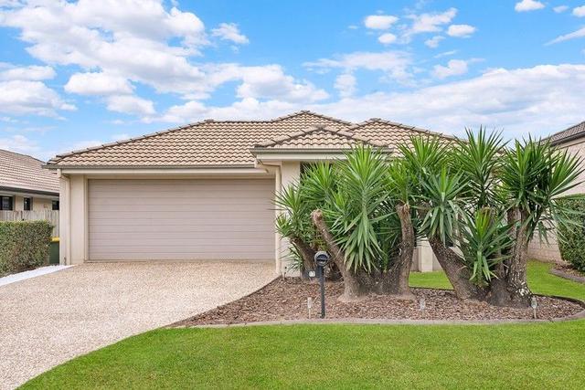 12 Oregano Close, QLD 4503