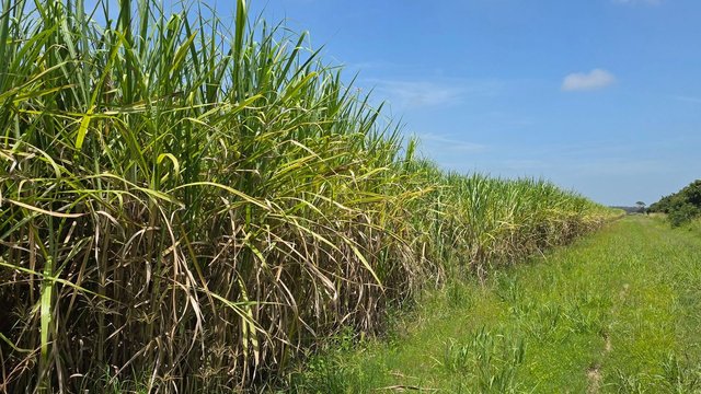 665 and 691 Kilgin Road, NSW 2472