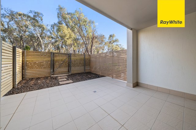 104/31 Thynne Street, ACT 2617